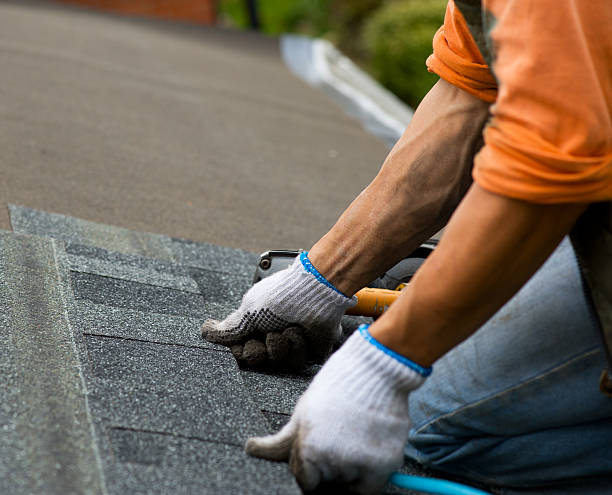 Best Roof Maintenance Services  in Del Rey, CA
