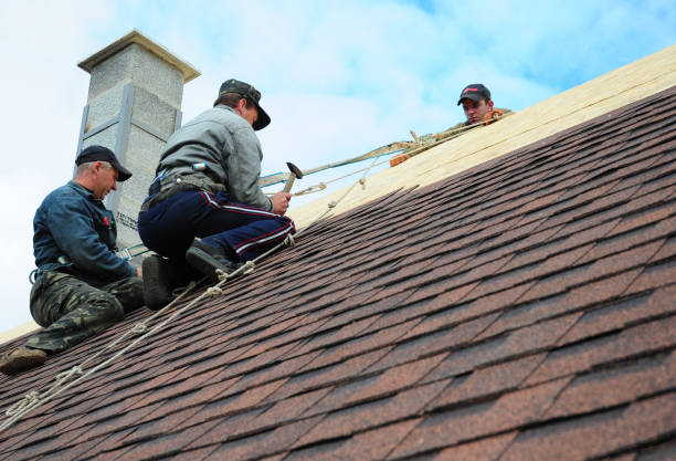 Best Roofing Contractor Near Me  in Del Rey, CA